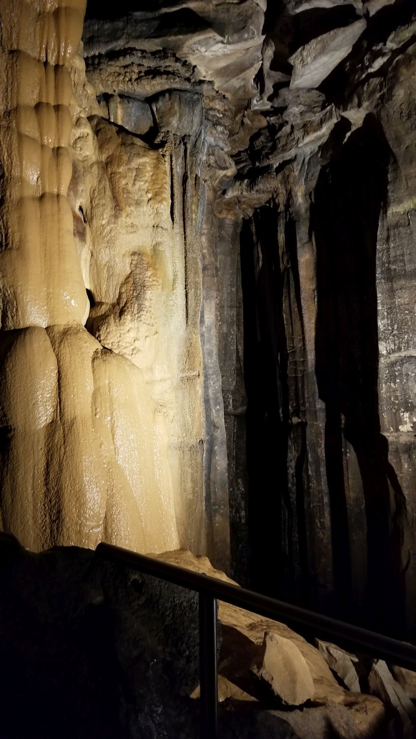 Mammouth Cave Historic Tour 